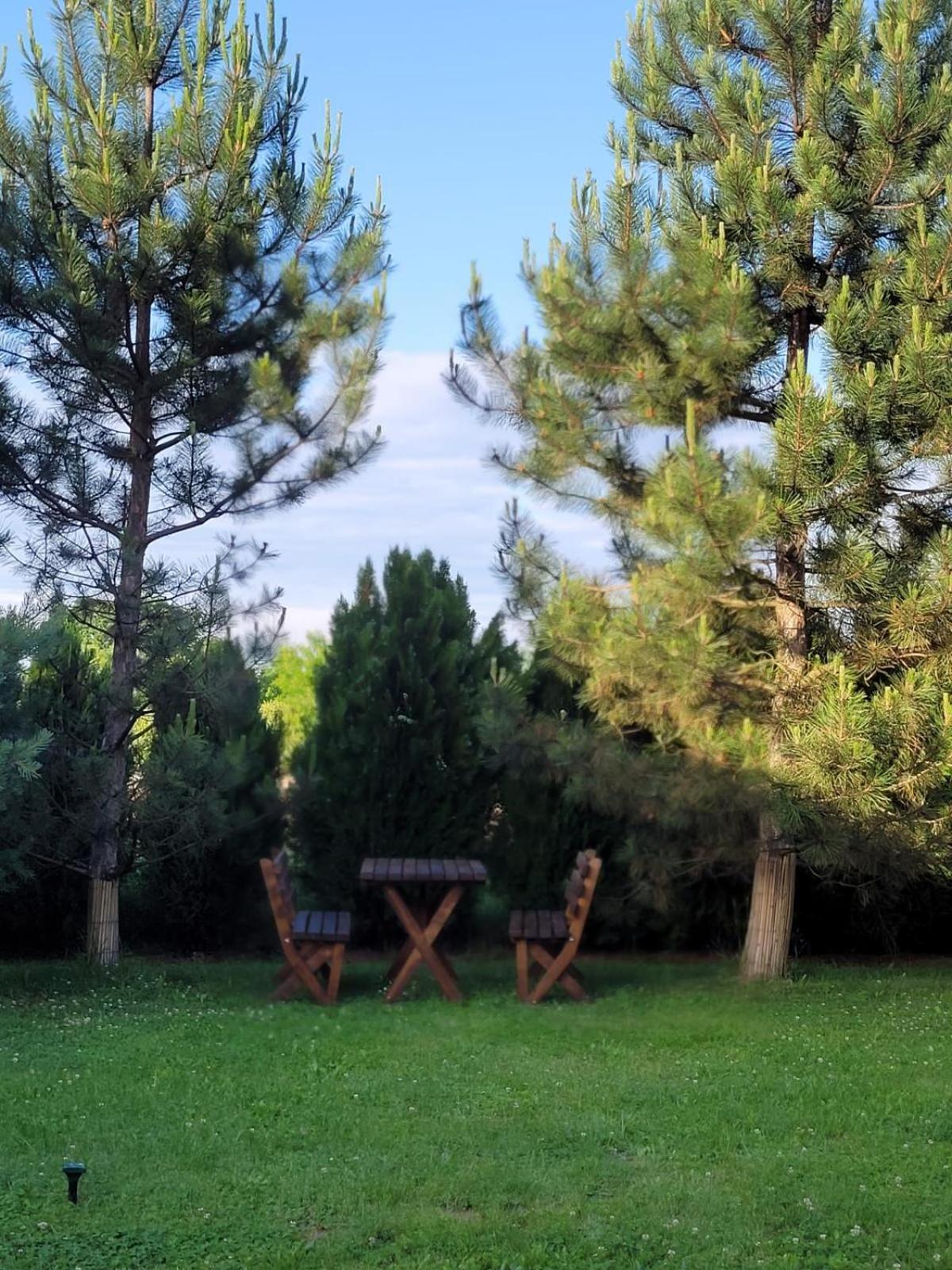 Hanul Lui Bogdan Economy Inn Făget 外观 照片